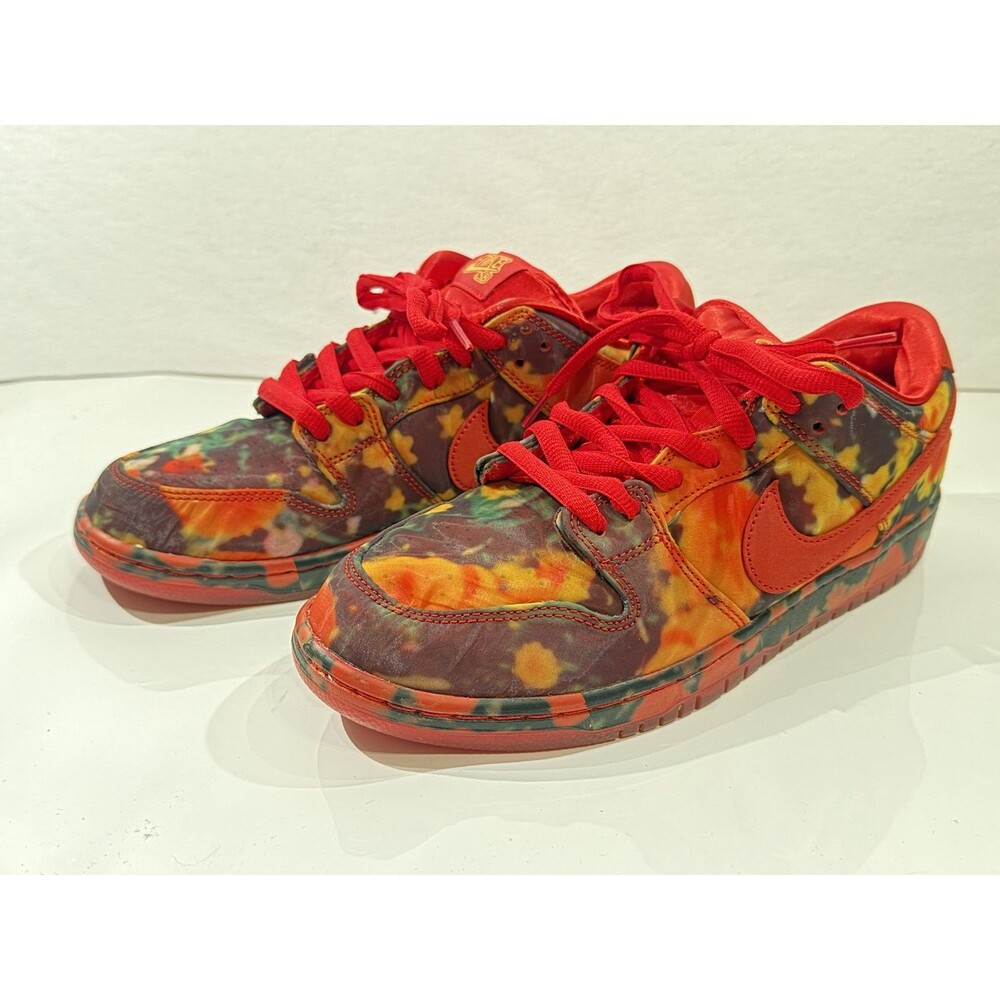 The Wizard of Oz x Nike Dunk SB Low Poppy Field Red Sneakers Size 10.5